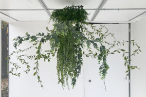 Mehr über den Artikel erfahren Monika Bielenis: Don`t cage your wilderness – Installation im CUBIC im Rahmen des PolenmARkT 2024