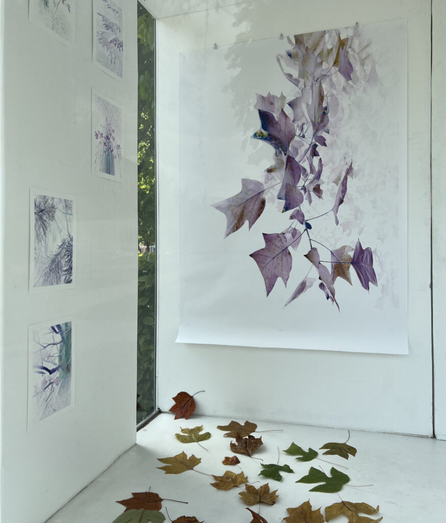Ausstellungsansicht