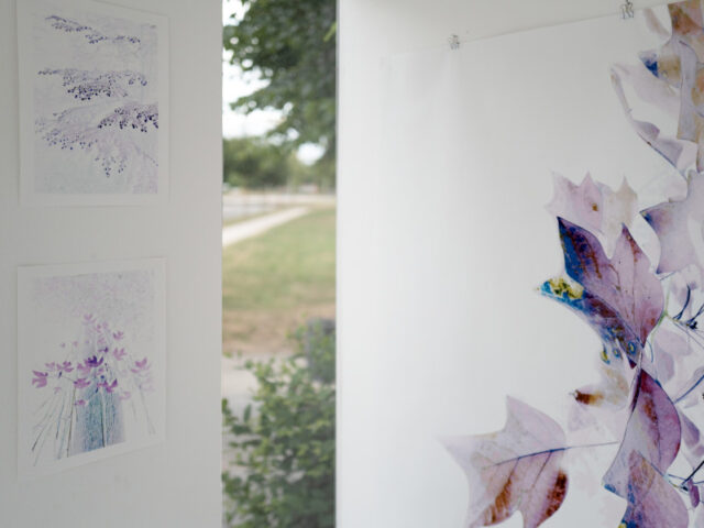 no country for old trees: Installation im CUBIC von Kerstin Hehmann bis 29. Juni 2025