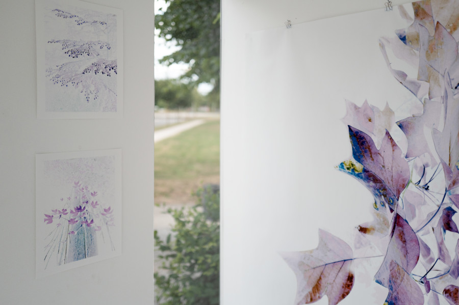 Mehr über den Artikel erfahren no country for old trees: Installation im CUBIC von Kerstin Hehmann bis 29. Juni 2025